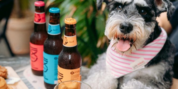 Summer Treats for You and Your Four Legged Friends