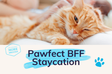 The Scoop on Hmlet’s Pet-friendly Accommodations