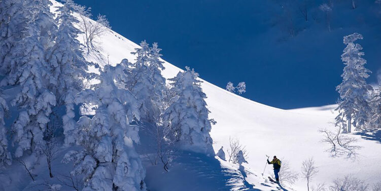 Catching The First Powder Snow Of Winter At Hokkaido Boutique Retreat Nozo Hotel